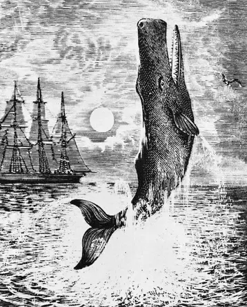 woodcut illustration of jumping whale and ship